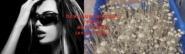 круглые Алзамай